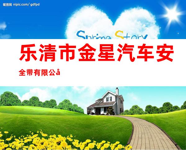 乐清市金星汽车安全带有限公司