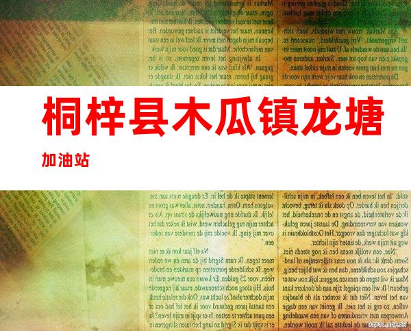桐梓县木瓜镇龙塘加油站