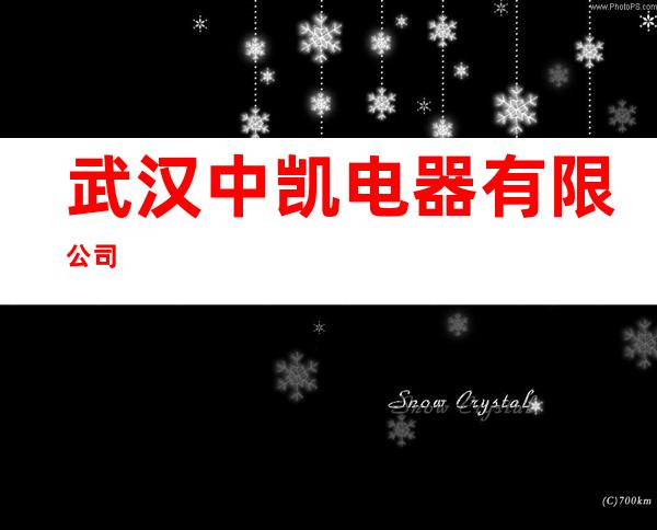 武汉中凯电器有限公司