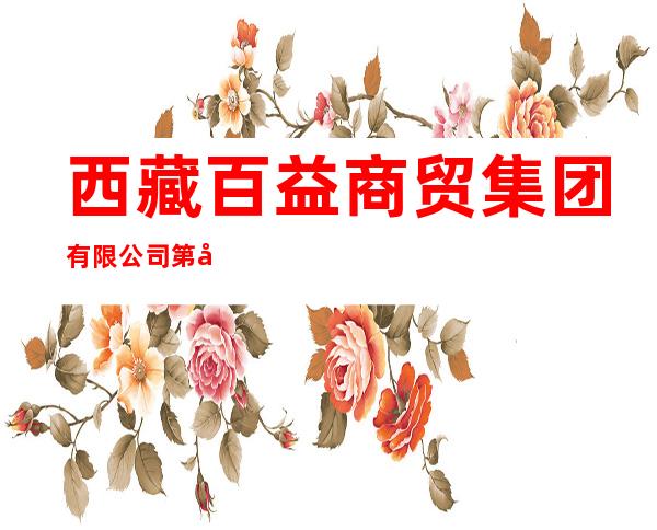 西藏百益商贸集团有限公司第六分店