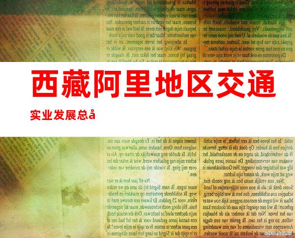 西藏阿里地区交通实业发展总公司