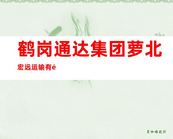 鹤岗通达集团萝北宏远运输有限公司